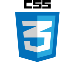 css3